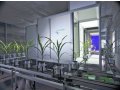 全自动高通量植物3D成像系统