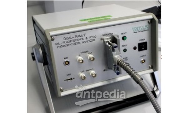 光纤型双通道PAM-100测量系统 DUAL-PAM/F
