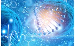 第十七届深圳细胞生物产业暨细胞治疗与再生医学大会