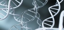 反思高校 “<em>学术</em><em>自主权</em>”丨博士生再诉母校要求授予学位