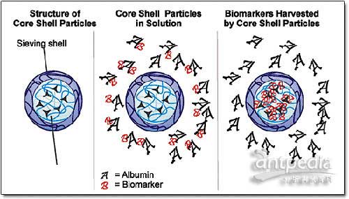 Nanotrap-Biomarker-Discover