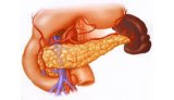 新研究揭示肿瘤微环境如何帮助胰腺癌细胞抵抗化疗1&nbsp;