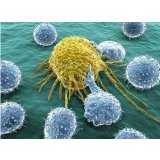 Nat Biotech | IL23促进CAR-T细胞的抗癌功能