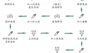 002前处理步骤