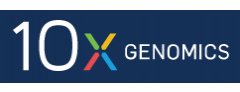 10X genomics