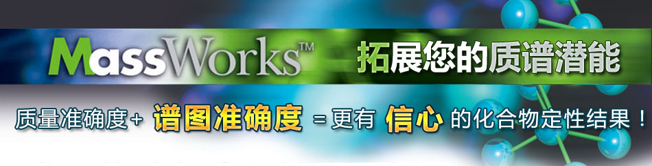 专题 MassWorks技术专题