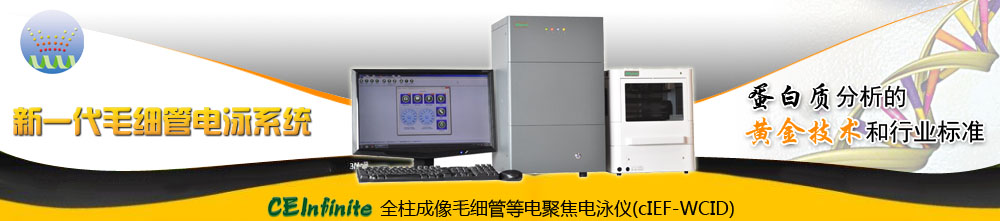 专题 CEInfinite全柱成像毛细管等电聚焦电泳仪