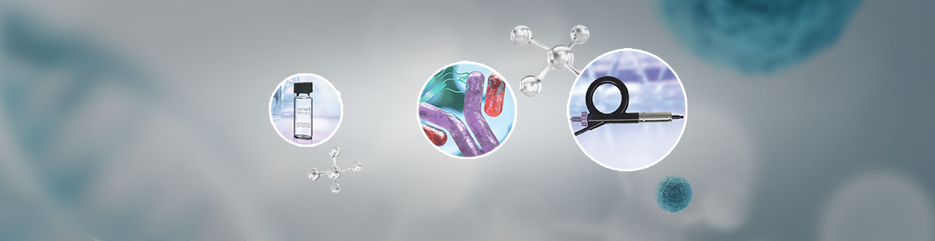 专题 Thermo Scientific™ TSQ™ Plus 三重四极杆质谱仪