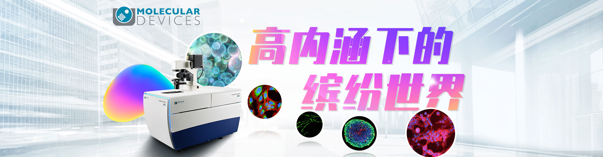 专题 美谷分子：高内涵下的缤纷世界