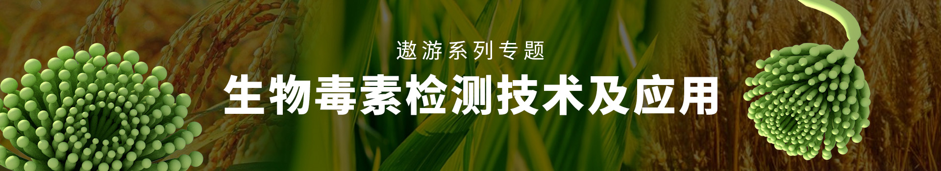 专题 2023年遨游系列专题——生物毒素检测技术及应用
