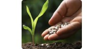 解读新国标《GB/T 42955-2023 肥料中总氮含量的测定-杜马斯燃烧法》—让肥料氮检测更高效！