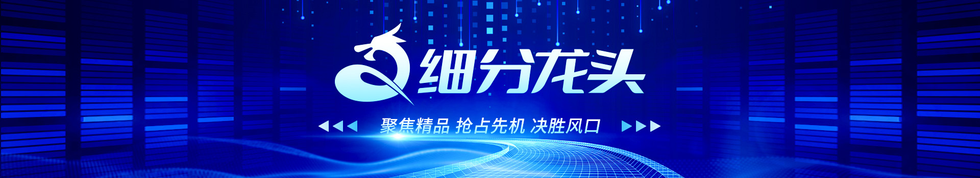 专题 【细分龙头】行业细分领域的领航明灯