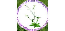 中科院上海生科院植物生理生态所植物光合作用与环境生物<em>学</em>实验室