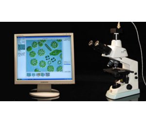 迅数Algacount S20藻类辅助鉴定计数仪