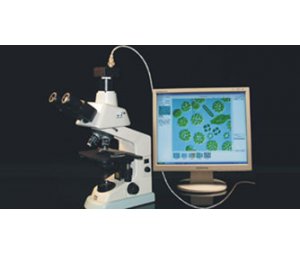 迅数Algacount R20藻类辅助鉴定计数仪
