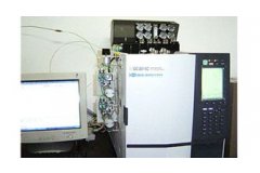GC-8801SH型氦离子化检测器气相色谱仪