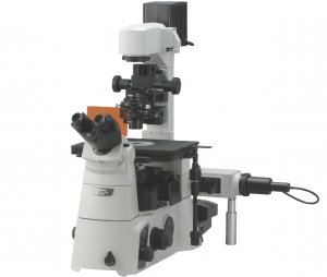 尼康Eclipse TI-U荧光倒置显微镜