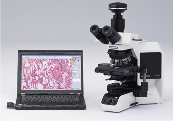 奥林巴斯BX<em>53</em>生物显微镜/半电动荧光显微镜