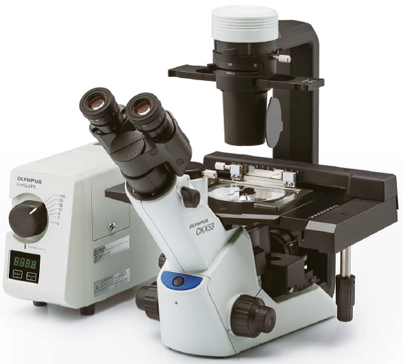 奥林巴斯CKX53倒置生物显微镜/紧凑型符合人体工学设计的细胞培养解决方案