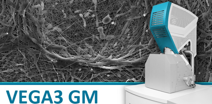 泰思肯VEGA3 GMH/VEGA3 GMU扫描电镜