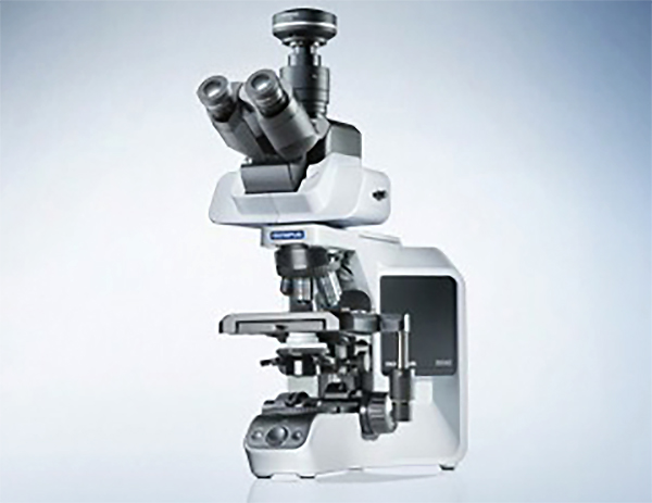  奥林巴斯BX43手动系统显微镜（正置
