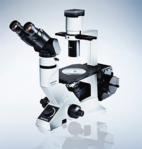 奥林巴斯CKX41日常工作用紧凑型倒置显微镜