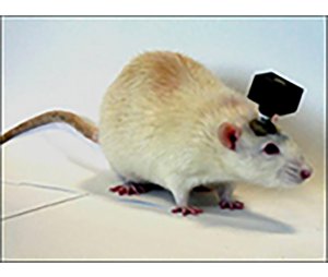 EMKA Rodentpack 2大鼠脑电、心电遥测系统