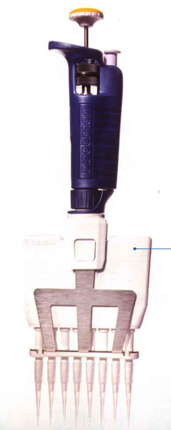 法国吉尔森轻巧版P型移液器多通道可调移液枪 12x200