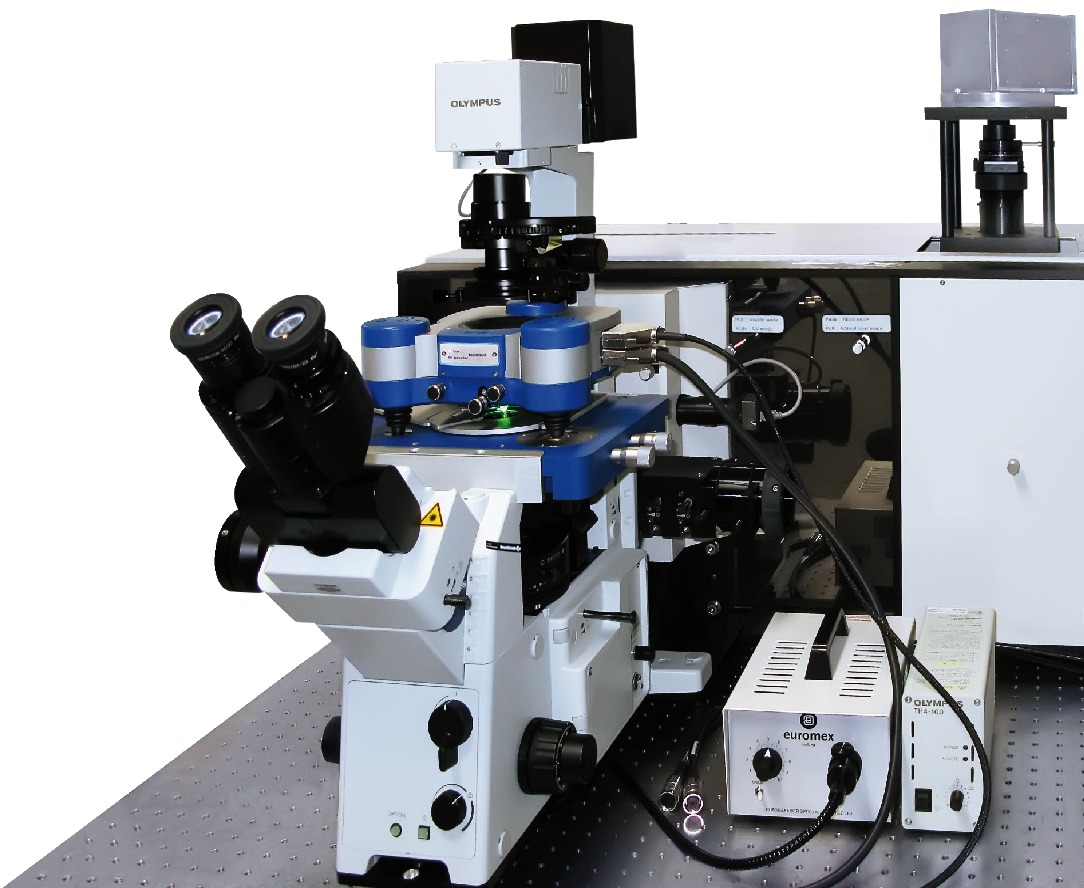 JPK NanoWizard NanoOptics纳米光学-原子力显微镜