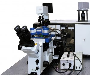 JPK NanoWizard NanoOptics纳米光学-原子力显微镜