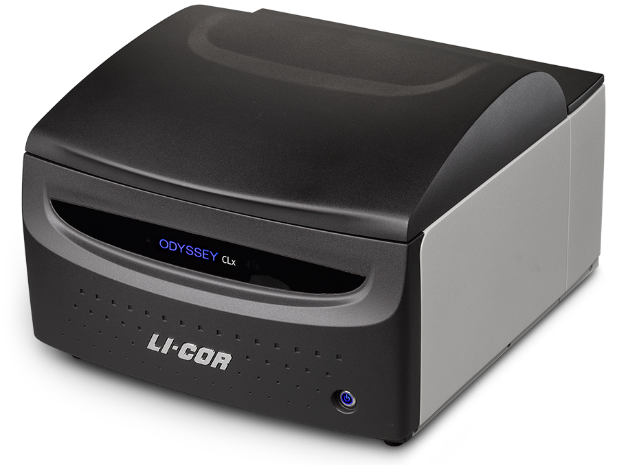 Licor Odyssey双色红外成像系统