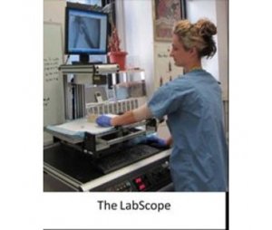 小鼠活体成像系统-LabScope