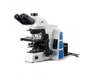 蔡康正置生物显微镜RCK-50C