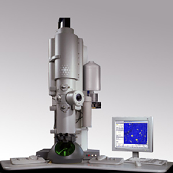 Tecnai G2 20 <em>200kV</em>透射电子显微镜