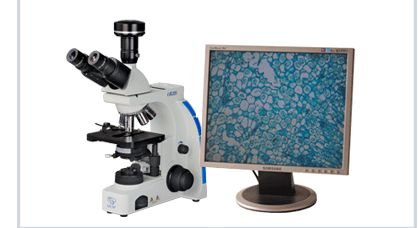 <em>生物</em>显微镜