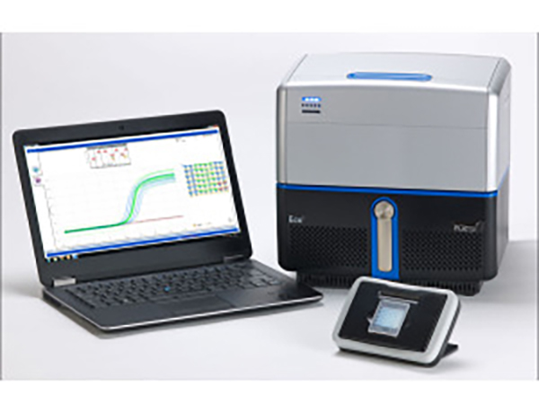ECO 48实时荧光定量PCR系统