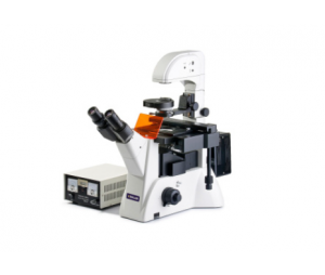 KEWLAB IFM-2 倒置荧光显微镜