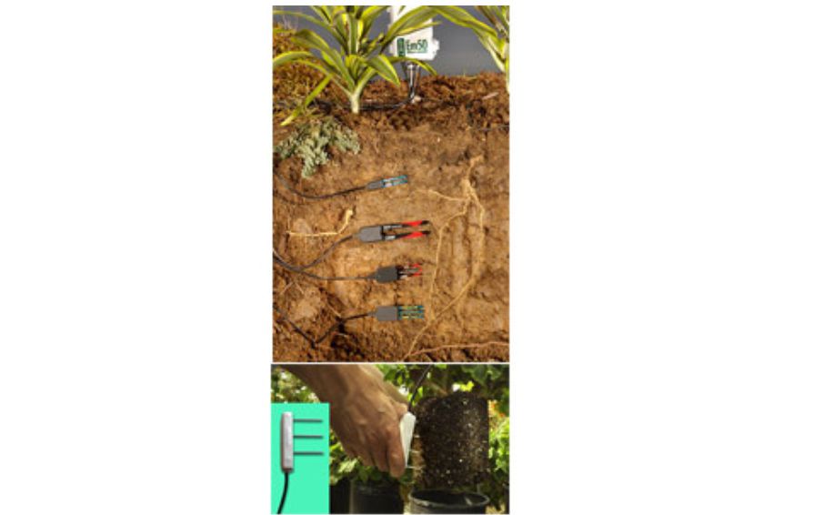  ECH2O土壤含水量监测系统