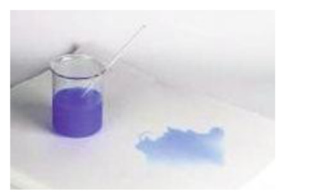 COMECT玻璃醋酸纤维过滤器提取筒吸水纸