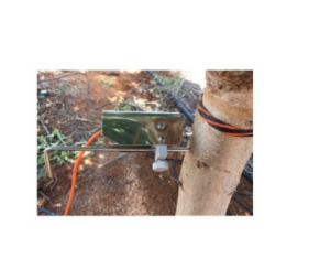 DE-1T 树木生长变化传感器