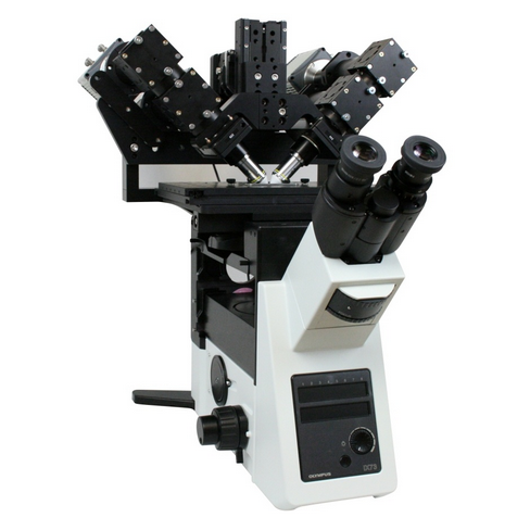 ASI光片荧光显微镜diSPIM