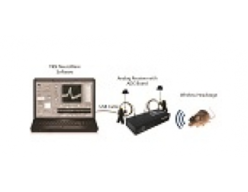 TBSI 	  W-series， M-Series， T-Series