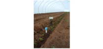 智能灌溉控制系统
