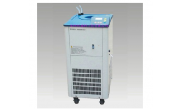 DLSB-5L/-10℃ 5L/-20℃低温冷却液循环泵