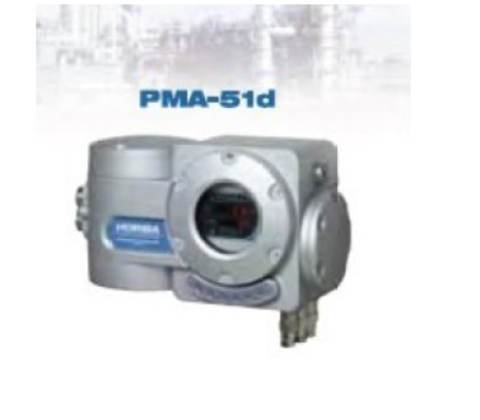 HORIBA磁力机械式气体防爆分析仪PMA-<em>51d</em>