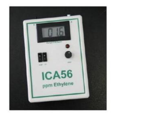 <em>ICA</em>56 乙烯分析仪