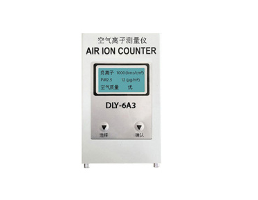 DLY-6A3空气离子测量仪