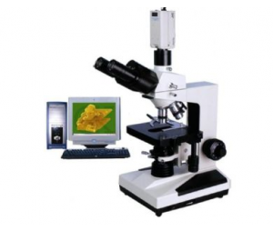 XSP-8C系列 生物显微镜
