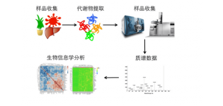 植物代谢<em>组</em><em>学</em>研究