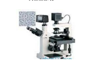 XSP-<em>16</em>C倒置显微镜